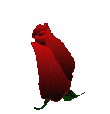 Animated Rose